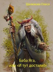 Книга Баба Яга (СИ) Баба Яга (СИ)