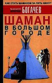 Шаман в большом городе