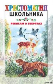 Книга Ребятам о зверятах: Рассказы русских писателей Ребятам о зверятах: Рассказы русских писателей