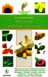 Чеснок – целебная приправа