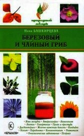 Березовый и чайный гриб