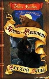 Книга Новое пророчество. Книга 2. Восход луны Новое пророчество. Книга 2. Восход луны