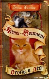 Книга Огонь и лед Огонь и лед