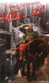 Книга МЫ… их! МЫ… их!