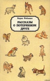 Рассказы о потерянном друге