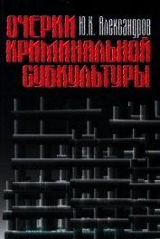 Книга Очерки криминальной субкультуры. Краткий словарь уголовного жаргона Очерки криминальной субкультуры. Краткий словарь уголовного жаргона