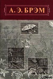 Жизнь животных, Том III, Пресмыкающиеся. Земноводные. Рыбы