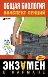 Информатика: конспект лекций