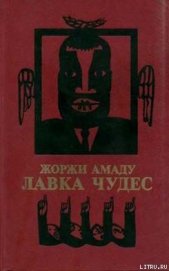 Книга Лавка чудес Лавка чудес
