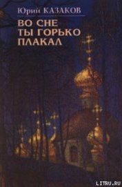 Во сне ты горько плакал (избранные рассказы)