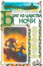 Книга Брат из царства ночи Брат из царства ночи