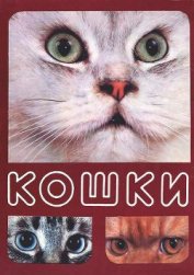 Книга Кошки Кошки