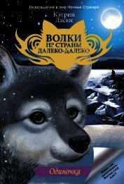 Одиночка