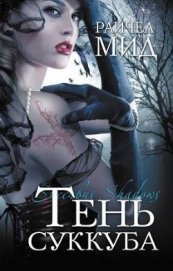 Книга Тень суккуба Тень суккуба