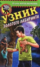 Книга Узник золотого лабиринта Узник золотого лабиринта