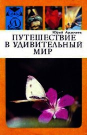 Книга Путешествие в удивительный мир Путешествие в удивительный мир