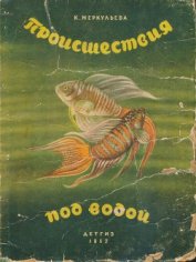 Книга Происшествия под водой Происшествия под водой