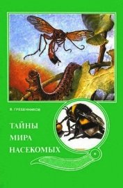 Книга Тайны мира насекомых Тайны мира насекомых