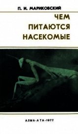 Чем питаются насекомые