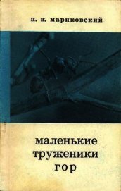 Маленькие труженики гор