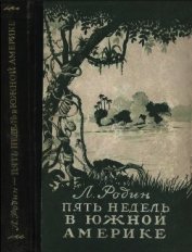 Родин Леонид Ефимович - Пять недель в Южной Америке