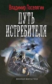 Поселягин Владимир Геннадьевич - Путь истребителя