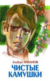 Книга Чистые камушки Чистые камушки