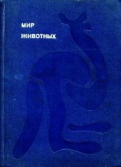 Книга Мир животных Том 1 Мир животных Том 1