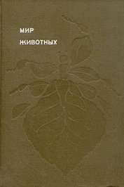 Книга Насекомые. Пауки Насекомые. Пауки