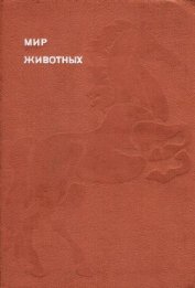 Книга Мир животных. Домашние животные Мир животных. Домашние животные