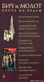 Бич и молот. Охота на ведьм в XVI-XVIII веках