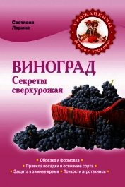 Виноград для начинающих