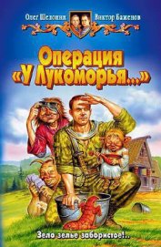 Операция «У Лукоморья…»