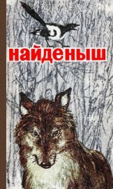Книга Найденыш Найденыш