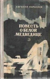 Книга Пират Пират