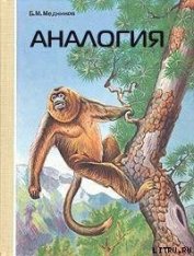 Книга Аналогия Аналогия