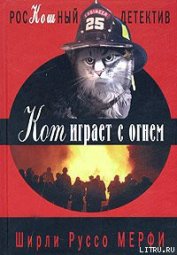 Книга Кот играет с огнем Кот играет с огнем