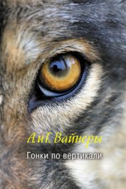 Гонки по вертикали