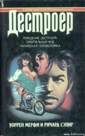 Книга Китайская головоломка Китайская головоломка