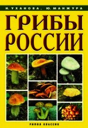 Грибы России