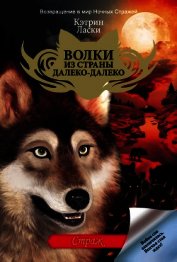 Страж