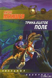 Книга Тринадцатое Поле Тринадцатое Поле