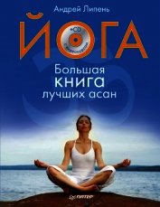 Йога. Большая книга лучших асан