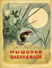 Книга Мышонок заблудился Мышонок заблудился