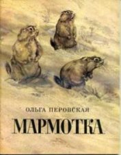 Книга Мармотка Мармотка