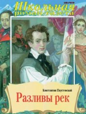 Книга Разливы рек Разливы рек