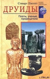 Друиды. Поэты, ученые, прорицатели