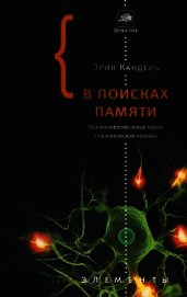 В поисках памяти