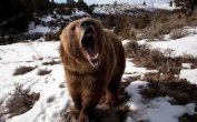 Книга Ой! (СИ) Ой! (СИ)
