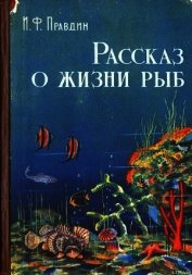Рассказ о жизни рыб